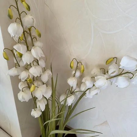 Alexander * Puerto de Santiago (Tenerife)