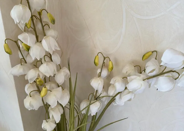 Alexander * Puerto de Santiago (Tenerife)